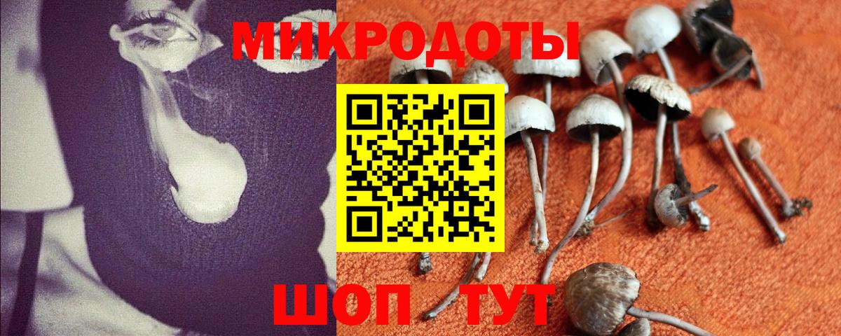Галлюциногенные грибы прущие грибы  Вход с VPN  Стерлитамак  Псилоцибиновые грибы Cubensis 
