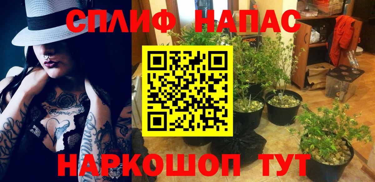 Марихуана SATIVA & INDICA Стерлитамак